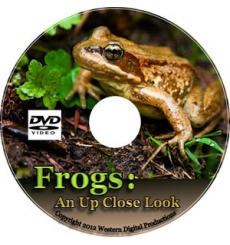 frogs-label