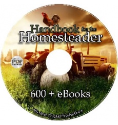 homesteader_1056782081